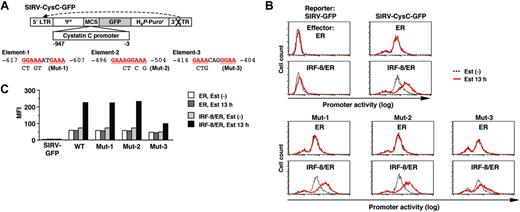 Figure 4. Analysis of the cystatin C promoter. (A) Diagram of the self-inactivating retrovirus reporter (SIRV-GFP) carrying the cystatin C promoter. Both LTRs are inactivated and have no promoter activity. Ψ+, the extended viral packaging signal; MCS, multiple cloning site; H4P-Puror; the puromycin resistant gene driven by the histone H4 promoter. Sequences and mutations in element-1 to element-3 are shown. The numbers indicate the nucleotide positions relative to the start codon. (B) Cystatin C promoter activity in live cells, as monitored by flow cytometry of GFP signals. Tot2 cells were transduced with SIRV-GFP carrying wild-type (WT) or mutant (Mut-1 to Mut-3) promoters, and then with MSCV-ER or MSCV–IRF-8/ER. Cells were either left untreated or treated with 1 μM β-estradiol (Est) for 13 hours. (C) Quantification of the promoter activity measured in panel B. The activity is shown as mean fluorescent intensity (MFI) of GFP signals.