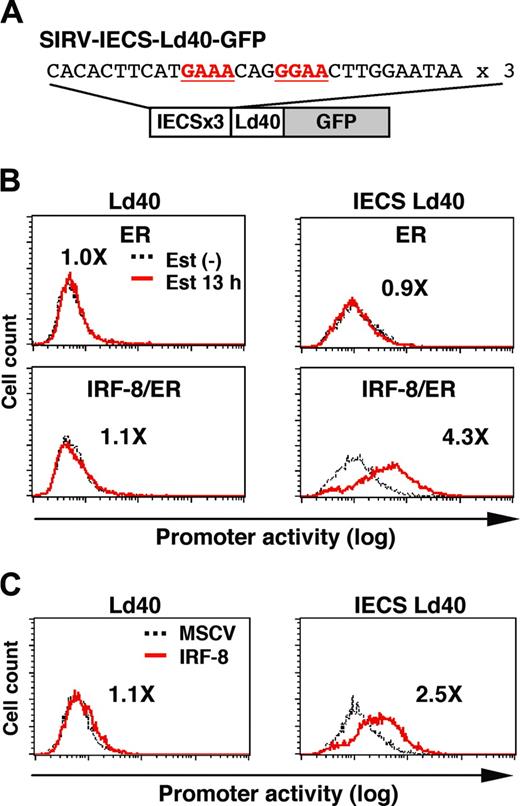 Figure 6. IRF-8 activation of transcription through the IECS. (A) Diagram of the SIRV reporter driven by the IECS. (B) Activation of transcription through the IECS by IRF-8/ER. Tot2 cells were transduced with SIRVIECS-Ld40-GFP or SIRV-IECS-Ld40-GFP, and then with MSCV-ER or MSCV–IRF-8/ER. Cells were either left untreated or were treated with 1 μM β-estradiol (Est) for 13 hours. Values represent fold changes in MFI induced by estradiol treatment. (C) Activation of transcription through the IECS by wild-type IRF-8. Tot2 cells were transduced with SIRV-Ld40-GFP or SIRV-IECS-Ld40-GFP and then with empty MSCV or MSCV–IRF-8. Cells were analyzed on day 2 after transduction of MSCVs. Values represent fold changes in MFI induced by IRF-8.