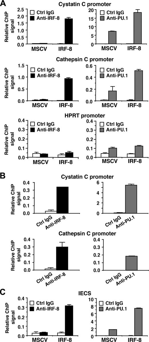 Figure 7. Binding of IRF-8 to target gene promoters and to the IECS in vivo. (A) Binding of IRF-8 and PU.1 to endogenous target gene promoters detected by chromatin immunoprecipitation (ChIP) assay. Tot2 cells were transduced with empty MSCV or MSCV–IRF-8, and were analyzed on day 3. Crosslinked, sheared chromatin was precipitated by goat anti–IRF-8, rabbit anti-PU.1 antibody, or control IgG (normal goat IgG for IRF-8 ChIP and normal rabbit IgG for PU.1 ChIP). Precipitated DNA was analyzed in duplicate by real-time PCR to detect genomic DNA from the cystatin C and cathepsin C promoter regions using primers that amplified the IECS region of each promoter. Levels of precipitated promoter DNA (ChIP signals) are shown as values relative to 0.1% input DNA (mean ± standard deviation). TheHPRT promoter was analyzed as a control irrelevant to IRF-8 and PU.1. (B) Binding of endogenous IRF-8 and PU.1 to the target gene promoters detected by ChIP assay. Peritoneal macrophages from wild-type mice were analyzed as in panel A. (C) ChIP assay for binding of IRF-8 and PU.1 to the IECS in vivo. Tot2 cells were transduced with SIRV-IECS-Ld40-GFP, and then with MSCV or MSCV–IRF-8. Cells were analyzed on day 3 after transduction of MSCVs. The IECS DNA was detected using primers designed to amplify the IECS sequence in SIRV.