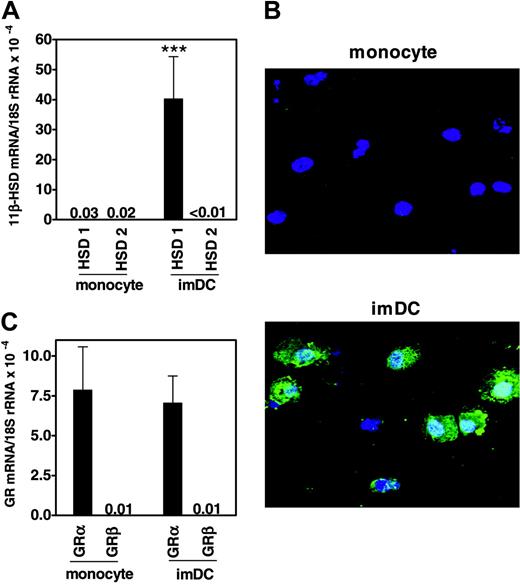 Figure 1. Human monocyte-derived immature DCs express 11β-HSD1. (A) 11β-HSD1 and 11β-HSD2 mRNA expression (normalized to 18S rRNA) in monocytes and day 7 monocyte-derived immature DCs (imDC) (data shown as mean ± SEM; ***P < .001 for 11β-HSD1 in imDCs versus monocytes, n = 10). (B) Confocal images showing staining for 11β-HSD1 (green) and the nucleus (4′, 6-diamidino-2-phenylindole, blue) in monocytes and imDCs (images representative of 3 independent experiments). (C) GRα and GRβ mRNA expression in monocytes and day-7 imDCs (data shown as mean ± SEM; n = 3).
