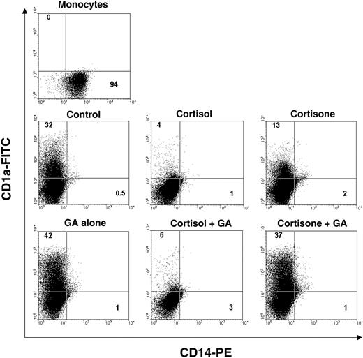 Figure 3. Autocrine-negative regulation of immature DC differentiation by prereceptor GC amplification. CD1a and CD14 expression following 7-day incubation of monocytes in the presence of IL-4/GM-CSF with vehicle or 10-7 M cortisol or 10-7 M cortisone ± GA. Top panel shows staining of input cells. Bottom panels show staining of cells on day 7 after culture. Figures represent percentage of cells in relevant quadrant. Similar results were obtained in 3 independent experiments.