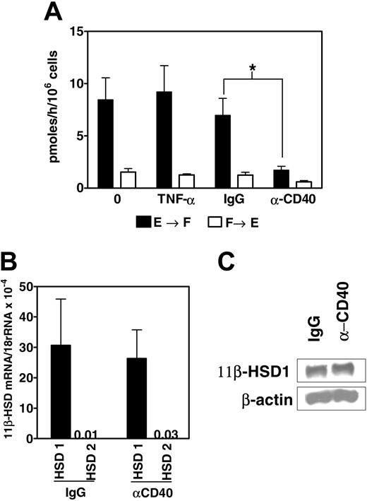 Figure 5. Effect of maturation stimuli upon 11β-HSD1 reductase of monocyte-derived DCs. (A) Cortisone reductase (E → F) or dehydrogenase (F → E) activities were measured 48 hours following incubation of imDCs with media alone, TNF-α, mouse IgG1 plus anti-Fc cross-linker, or anti-CD40 plus anti-Fc cross-linker (mean ± SEM; *P < .05 reductase activity following CD40 ligation versus control, n = 3). (B) 11β-HSD1 (n = 8) and 11β-HSD2 mRNA (n = 4) expression (normalized to 18S rRNA) following 48-hour exposure of day 7 imDCs to mouse IgG1 plus anti-Fc cross-linker or anti-CD40 plus anti-Fc cross-linker. Mean ± SEM. (C) Immunoblots showing 11β-HSD1 expression when cells were treated as in panel B. β-actin loading control is also shown. Data are representative of 3 independent experiments.