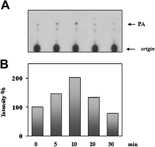 Figure 2. DGK activity in NIH-EGFR/ALK cells following EGF stimulation. NIH-EGFR/ALK cells were serum-starved for 18 hours and then either mock-treated or treated with 100 ng/mL EGF for the indicated time at 37°C. (A) Cell lysates were analyzed for in vitro DGK enzymatic activity as described in Figure 1. (B) PA spots were quantified by densitometric scanning of the autoradiograms and results are expressed as percent of control (signal obtained from medium-treated cells). Results are representative of 3 independent experiments.
