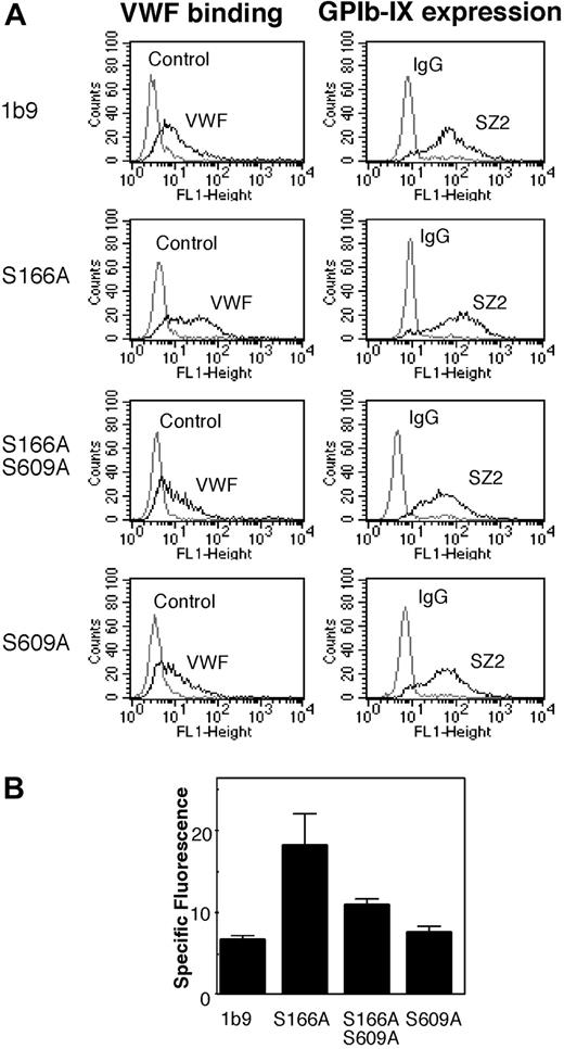 Figure 5. The effect of disruption of the 14-3-3ζ binding sites in GPIbα and GPIbβ by mutagenesis on the VWF binding function. (A) CHO cells expressing wild-type GPIb-IX (1b9), S609A, S166A, or S166A/S609A mutants were incubated with human VWF in the presence of ristocetin or with ristocetin alone (controls). VWF binding to cells was analyzed by flow cytometry using FITC-labeled anti-VWF antibody, SZ29. The same cells were also analyzed for surface expression of GPIb-IX by flow cytometry using an anti-GPIbα antibody SZ2 followed by a FITC-labeled goat anti-mouse IgG. Results from a typical experiment are shown in panel A. Quantitative data are shown in panel B, in which fluorescence intensity of VWF binding (mean ± SD, 6 experiments) was corrected for the relative level of GPIb-IX expression. FL indicates fluorescence.