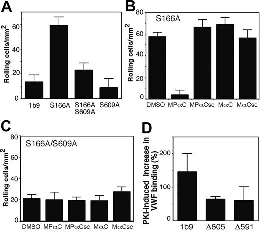 Figure 6. The effects of disruption of 14-3-3ζ binding to GPIbα on cell adhesion to VWF and on PKA inhibitor-induced GPIb-IX activation. (A) 1b9, S166A, S166/609A, or S609A cell lines were perfused through VWF-coated capillaries at 150 s-1. Transient adhesion (rolling) of these cells was recorded. The number of rolling cells was counted in 30 randomly selected fields of 0.25 mm2 and at randomly selected time points. The results shown are the mean ± SD of cell number/mm2. (B,C) S166A cells (B) or S166A/S609A cells (C) were preincubated with MPαC; control peptides MαC, MPαCsc, MαCsc; or DMSO, and then perfused into VWF-coated glass capillaries. Numbers of adherent cells were counted at 10 randomly selected time frames and locations (mean ± SD). (D) CHO cells expressing wild-type GPIb-IX (1b9) and mutant GPIb-IX with deletion of the GPIbα C-terminal 14-3-3 binding site (Δ591 and Δ605) were preincubated without or with 100 μM PKI for 15 minutes at 22°C. The cells were then incubated with VWF and ristocetin at 22°C for 30 minutes. VWF binding was detected using the FITC-labeled anti-VWF antibody, SZ29, and flow cytometry. Nonspecific fluorescence was determined by incubating the cells with ristocetin alone. Effects of PKI on enhancing VWF binding in the indicated cell lines were quantified and expressed as the percentage increase in the fluorescence intensity of VWF binding compared with the fluorescence intensity of VWF binding in the absence of PKI. Shown in the figure are the results from 3 separate experiments (mean ± SD).