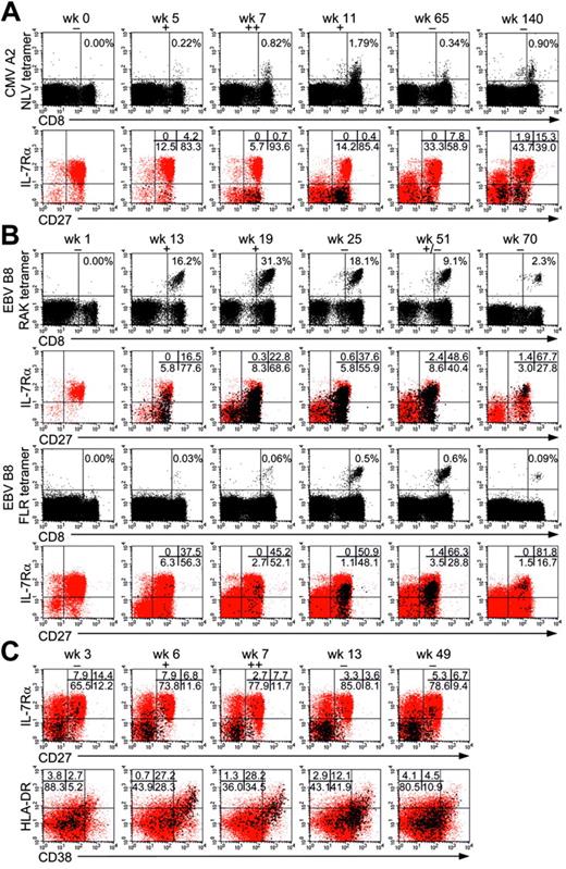 Figure 1. Expression of IL-7Rα on virus-specific cells is low during primary infection. (A) (top row) CMV-specific CD8+ T cells during primary CMV infection. (bottom row) Phenotypes of total CD8+ T cells (red) and CMV-specific T cells (black). (B) Same as panel A but showing primary EBV infection measured by CD8+ T cells specific for the lytic epitope RAK (first 2 rows) and the latent epitope FLR (last 2 rows). (C) Changes in phenotype of CD8+ T cells and CMV-specific CD8+ T cells (measured with CMV A2 tetramer) during CMV reactivation. wk indicates the number of weeks after transplantation; + and - indicate the relative heights of the viral load as measured by PCR. Percentages are the percentages of virus-specific cells within CD8+ T cells. Dot plots show the phenotypes of CD8+ T cells (red) and of virus-specific CD8+ T cells (black). Numbers indicate percentages within virus-specific cells in the corresponding quadrants. For clarity, only 10% of the dots are shown from dot plots showing RAK-specific cells during primary EBV infection; all other plots show 100% of measured events. Representative results of flow cytometric analysis are shown for 1 of 6 patients with primary CMV infection and 1 of 2 patients with CMV reactivation.