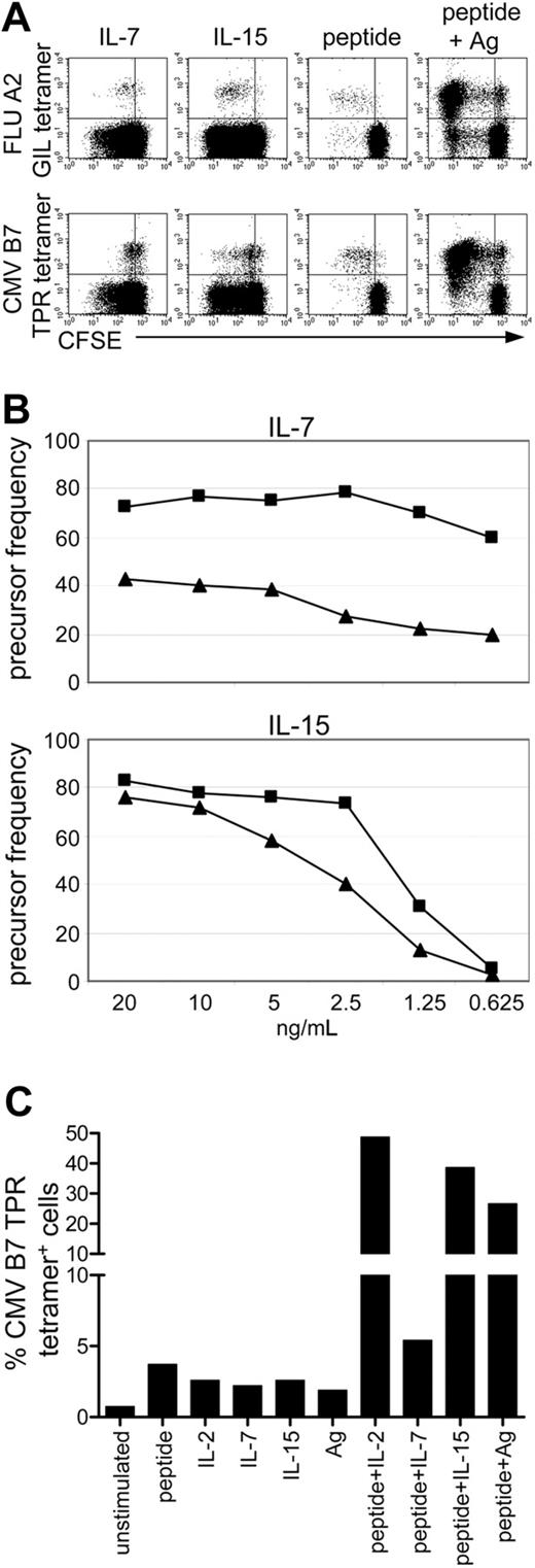 Figure 6. FLU-specific cells proliferate better than CMV-specific cells. (A) Dot plots gated on CD8+ lymphocytes in which FLU or CMV tetramer staining is plotted against CFSE to visualize cell divisions. Total PBMCs were cultured for 6 days in the presence of IL-7, IL-15, FLU peptide, CMV peptide, or the specific peptide in combination with FLU or CMV antigen, respectively. (top panels) Staining with the FLU tetramer. (bottom panels) Staining with the CMV tetramer. For clarity, only 50% of the measured events is shown in the CMV tetramer staining. Representative data are shown from 1 of 3 independent experiments with healthy donors. (B) Precursor frequencies of FLU-specific (▪) and CMV-specific cells (▴) from one donor on dose titrations of IL-7 and IL-15 in 6-day total PBMC cultures. (C) Percentage of CMV B7 tetramer+ cells within CD8+ T cells before culture (unstimulated) and after 6 days' stimulation with the CMV B7 peptide, cytokines, or CMV antigen, alone or in combination. Representative data are shown from 2 independent experiments with healthy donors.