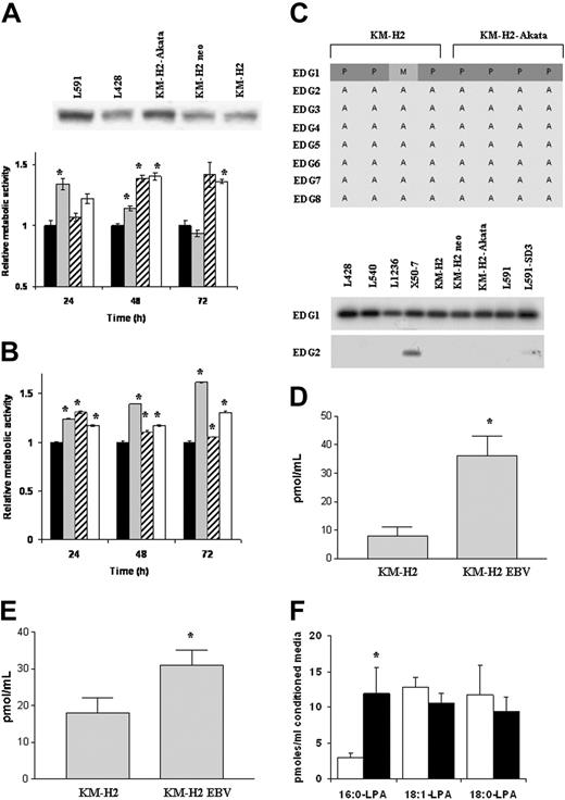 Figure 4. Increased soluble autotaxin production by EBV-infected HL cells is associated with increased use of LPC and generation of LPA. (A) (upper panel) Immunoblotting demonstrates increase in autotaxin protein levels in the supernatant of EBV-infected KM-H2 cells compared with controls. Other EBV-negative HL cells produced lower but detectable levels of soluble autotaxin compared with EBV-positive variants. (lower panel) EBV-negative KM-H2 cells cultured in supernatant from EBV-infected KM-H2 cells (neo cells, EBV media) showed a transient increase in growth compared with control (EBV-negative KM-H2 cells grown in their own supernatant; neo cells, neo media). EBV-positive KM-H2 cells grown in medium from EBV-negative KM-H2 cells (EBV cells, neo media) showed reduced growth compared with control (EBV-positive KM-H2 cells grown in their own supernatant EBV cells, EBV media). ▪ indicates Neo cells, Neo media; ▦, Neo cells, EBV media; ▨, EBV cells, Neo media; and □, EBV cells, EBV media. (B) KM-H2 cells treated with exogenously supplied LPAfollowed by cell growth assay (WST-1). LPA significantly increased the growth of EBV-negative KM-H2 cells (KM-H2-neo) but not of EBV-positive cells (KM-H2-EBV). ▪ indicates KM-H2-neo; ▦, KM-H2-neo + LPA; ▨, KM-H2-EBV; and □, KM-H2-EBV + LPA. (C) (top panel) Microarray analysis of LPA/SIP receptor (EDG receptor) expression in EBV-negative KMH-2 cells and EBV-positive KM-H2 cells (KM-H2 Akata) represented as Affymetrix “calls.” P indicates mRNA present; A, mRNA absent; M, mRNA called marginal. Although EBV-negative and EBV-positive KM-H2 cells expressed the S1PR1 receptor (EDG1), they lacked expression of the major LPA receptor, LPAR1 (EDG2). The other known LPA or S1P receptors (EDG3-8) were lacking in these cells. (bottom panel) These findings were confirmed by RT-PCR analysis of a range of EBV-positive and EBV-negative HL cells (data for EDG1 and EDG2 shown). (D) Hydrolysis of 20 μM LPC by serum-free-conditioned medium, collected after 16 hours of culture over a 5-hour incubation. (E) Generation of LPA by incubation of 20 μM LPC for 3 hours with KM-H2 or KM-H2-EBV cell-conditioned medium. (F) Acyl species analysis of LPA generated by incubation of egg LPC with conditioned media. The 18:1 and 18:0 LPAs were generated by the cells without added LPC. □ indicates KM-H2 neo; and ▪, KMH2-EBV. See the “Statistical analysis” section under “Materials and methods” for explanation of error bars and asterisks.