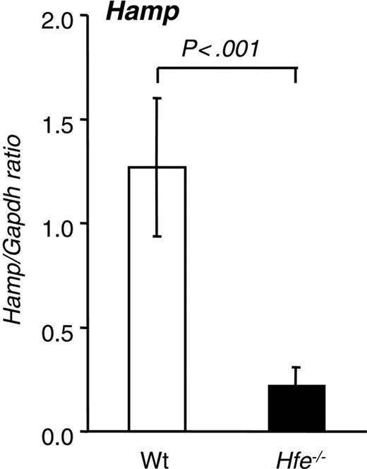 Figure 2. Hepatic hepcidin expression in 10-week-old Hfe-/- mice from the 129/SvEvTac background. Hamp mRNA expression was quantified by qRT-PCR and normalized to Gapdh. The Hamp/Gapdh ratio is shown. Results are presented as mean ± SD (n = 6 mice per group). Statistical analysis was performed by Student t test.
