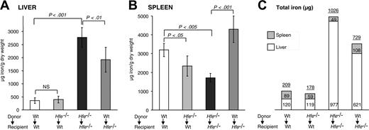 Figure 4. Liver and spleen iron storage in mice 14 weeks after BMT. Iron concentration in the (A) liver and (B) spleen. Results are presented as mean ± SD (n = 6-12). Statistical analysis was performed by one-way ANOVA. (C) Relative amounts of total iron stored in the liver and spleen. Each rectangle represents the absolute proportion of iron, expressed in micrograms, found in the liver (□) and spleen (▦). Numbers on top of the boxes indicate cumulative iron in the liver and spleen.