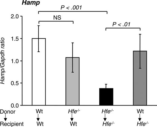 Figure 5. Hepcidin levels in mice 14 weeks after BMT. Quantitative alterations in liver hepcidin (Hamp) mRNA levels were measured by qRT-PCR and normalized to Gapdh. The Hamp/Gapdh ratio is shown. Results are presented as mean ± SD (n = 6-12). Statistical analysis was performed by one-way ANOVA.