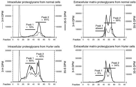Figure 1. HPLC profile of proteoglycans. Metabolically radiolabeled proteoglycans from normal and Hurler MAPCs were subjected to DEAE-Sephacel anion-exchange HPLC. The column was eluted at 1 mL/minute using an increasing NaCl gradient, and 1-mL fractions were collected. The 35S and 3H radioactivities were measured and plotted for each fraction. The proportion of radioactivity in each peak was calculated as a percentage of the total radioactivity in the proteoglycan-containing peaks. DPM indicates disintegrations per minute.