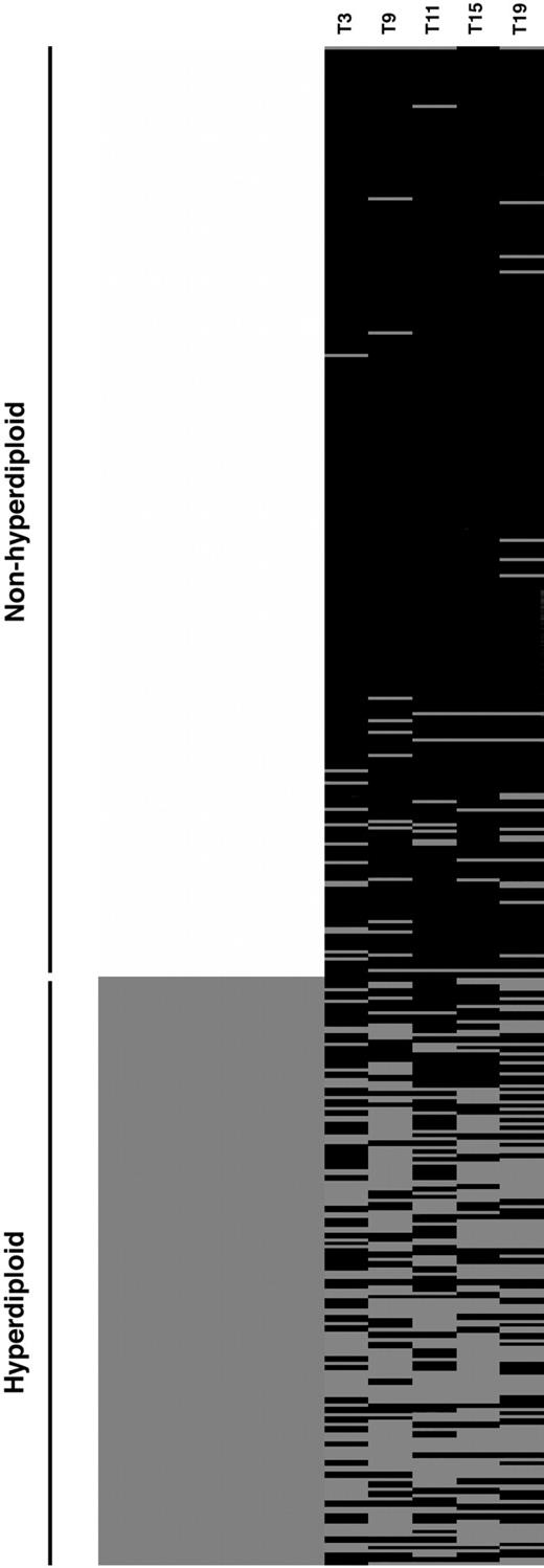 Figure 1. Trisomy clustering diagram. Each row represents results from a single patient. The left column represents ploidy categories. The lighter color represents patients with nonhyperdiploid myeloma, whereas the darker color represents hyperdiploid myeloma. Each right column represents one of the commonly trisomic chromosomes, chromosomes 3, 9, 11, 15, and 19, with pale and dark bars representing the presence and absence of trisomy, respectively, for each chromosome.