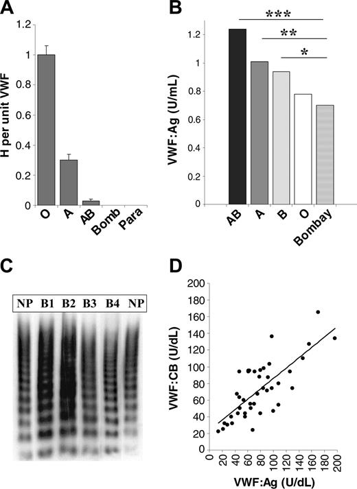 Figure 1. Effect of Bombay phenotype on plasma-VWF glycan expression, plasma VWF:Ag level, and plasma-VWF multimer composition. (A) The amount of H antigen expressed per unit VWF was measured in a series of healthy individuals (group O, n = 72; group A, n = 64; group AB, n = 15) and in Bombay (n = 30) or para-Bombay (n = 17) individuals using a modified sandwich ELISA. Each plasma sample was tested in duplicate at 3 dilutions, and results represent means ± SEM. Using similar methodologies, no A or B antigen expression was detected on Bombay or para-Bombay VWF (data not shown). In some cases the SEM cannot be seen due to its small size. (B) Plasma VWF:Ag levels were measured by ELISA. Median values for each group are shown. VWF:Ag levels were significantly lower in Bombay compared with groups AB, A, and B (***P < .001, **P < .01, and *P < .05, respectively). Among the blood group A individuals, genotype (A1A1, A1O1, or A2O1) at the ABO locus was determined by polymerase chain reaction–restriction fragment length polymorphism (PCR-RFLP) analysis as previously described.12 Bombay VWF:Ag levels were significantly lower than those in A1A1 homozygotes or A1O1 heterozygotes (P < .01). Although previous studies have demonstrated an effect of Secretor blood group on plasma-VWF levels, we found no difference in plasma VWF:Ag levels between para-Bombay (Secretor) and Bombay (non-Secretor) individuals (data not shown). (C) Plasma multimer analysis of 4 Bombay individuals (B1 to B4) compared with 2 healthy controls. No loss of HMW-VWF multimers was apparent in the Bombay individuals. (D) Plasma VWF:CB levels were also significantly reduced in Bombay plasmas (median VWF:CB = 71 IU/dL), compared with group O (median VWF: CB = 88 IU/dL; P = .04, Mann-Whitney). However, as shown for the 47 Bombay individuals, there remained a good correlation between VWF:Ag and VWF:CB. NP indicates normal plasma.