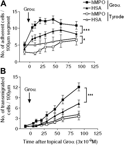 Figure 5. Adhesion and transmigration profiles in WKY rats actively immunized with hMPO or HSA in response to topical CXCL1. Intravital microscopy was performed on rats 6 to 7 weeks after immunization with hMPO (EAV rats) or HSA (control rats). After recording baseline responses of adhesion (A) and transmigration (B), topical CXCL1 (3 × 10-9 M) or Tyrode balanced salt solution was superfused over the mesentery, and responses were quantified for a further 90 minutes, during which time superfusion of the topical agent was maintained. The data represent mean ± SEM, n = 11 to 13 separate rats per group for CXCL1 and n = 6 to 7 per group for Tyrode solution. Statistically significant differences between different groups of rats are shown by asterisks, *P < .05 and ***P < .001.
