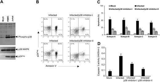 Figure 1. p38 MAPK activation is required for HIV-1-related apoptosis. (A) p38 MAPK is activated by HIV-1 infection. Immunoblot analysis of protein extracted from PBMCs or Jurkat T cells infected with mock or NL4-3 virus. Total cellular protein extract (50 μg) was extracted 24 hours after infection and analyzed by 12% SDS-PAGE. p38 and phospho-p38 MAPK activation was detected by using specific antibodies that recognize phospho-p38 MAPK (top) only when phosphorylated or the p38 MAPK (middle). HIV infection strongly activates phosphorylation in both cell types. The same lysates were blotted with anti-p24gag(bottom) to monitor viral infection. (B-C) HIV-1-induced apoptosis is blocked by p38 MAPK inhibitor. Human PBMCs were infected with (B) NL4-3 Wt virus or (C) different HIV-clade specific primary viral isolates. Cells were uninfected (mock) or infected with HIV-1 virus with or without addition of 1 μM p38 inhibitor-I or -II (SB203580 or RWJ67657, respectively). Cells were collected 2 days after infection and stained with annexin-V-FITC; p24gag-PE and HIV-induced apoptosis analysis was performed. The values indicated frequencies of positive cells of each quadrangle. Data were representative of 3 (B) or 2 (C) independent experiments. Both p38 inhibitors block HIV-driven apoptosis. (D) p38 MAP kinase inhibitors block HIV-induced caspase-3 activity. Cell lysates were prepared from the groups described in panel B. Total protein from each cell lysate (100 μg) was used for the colorimetric caspase assay as described in “Materials and methods.” Each column represents the mean ± standard deviation from triplicate samples derived from 1 of 3 independent experiments. All these experiments gave similar results.