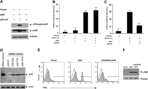Figure 3. Nef-induced FasL induction requires p38 MAPK activation. (A) Nef induced phosphorylation of p38. Western blot analysis of protein extracted from Jurkat cells transfected with 5 μg vector control or pNef in the presence or absence of p38 inhibitor-II. Samples were prepared as described in “Materials and methods” and resolved on 12% SDS-PAGE gels. Gels were transferred to PVDF membranes and immunoblotted with p38MAPK- and phospho-p38MAPK-specific antibodies as indicated. Nef induced phosphorylation of p38, and this activation can be blocked by the p38 inhibitors (p38 inhi). (B-C) Inhibition of Nef-induced FasL promoter activity by a dominant-negative p38. Jurkat cells were transfected with plasmid containing pVector, the hFasL-Luc promoter, the pNef plus hFasL-Luc promoter, or the pNef plus hFasL-Luc promoter together with wild-type p38 (B) or p38-DN (C) plasmid constructs as indicated. Luciferase activity in whole-cell lysates was assayed after 12 to 18 hours and is shown as the mean value ± SEM. Transfection efficiency was monitored by cotransfection of a plasmid encoding β-gal and results were normalized to β-gal levels. Similar results were obtained in 3 independent experiments and were reproducible. Nef strongly induced the FasL promoter activation (B). In contrast, induction of FasL transcriptions was reduced in cells cotransfected with dominant-negative mutant p38 (C). (D) Construction and expression of p38siRNAs. Four different target siRNA expression vectors were constructed as described in “Materials and methods.” Jurkat T cells were transiently transfected with 5 μg siRNA control vector or p38siRNA expression constructs as indicated clones. Cell lysates were extracted 48 hours after transfection, and immunoblotting was performed by using an anti-p38 antibody and an actin antibody as a control for equal loading. p38 expression was suppressed significantly in cells transfected with clone p38-61 and moderately in cells transfected with the other clones compared with control vector transfected. (E) FasL expression is significantly reduced by p38siRNA. Jurkat T cells were electroporated with 5 μg plasmid-expressing vector, pNef, or p38siRNA (clone p38-61) and pNef plasmids as indicated. At 48 hours after transfection, the surface levels of FasL expression were determined by flow cytometry using a FasL-specific antibody. Filled histograms show the FasL expression, and open histograms represent isotype-matched control antibodies. p38 siRNA inhibited Nef-induced FasL induction. Similar results were obtained in 3 independent experiments. Transfection efficiency was monitored by cotransfection of a pCMV plasmid encoding GFP, which also served as a marker for gating on transfected cells. (F) p38 siRNA does not affect Nef expression. Total protein extracts were prepared from the groups transfected with vector, pNef, or p38siRNA plus pNef. Of each protein sample, 50 μg was separated on 12% SDS-PAGE and analyzed by Western blot with a polyclonal antibody against Nef antibody. Immunoblotting was also performed using an antiactin antibody as an internal control.