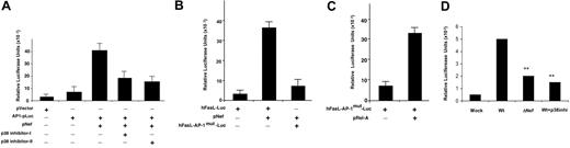 Figure 5. AP-1 is required for Nef-induced FasL promoter activation through p38. (A) Jurkat T cells were transfected with plasmid containing either the pVector or the AP1-Luc promoter plasmid, and the pNef plus AP1-Luc promoter plasmid or the pNef plus AP1-Luc promoter plasmid and treated with p38 inhibitors (1 μM) as indicated in “Materials and methods.” (B) Jurkat T cells were transfected with the hFasL-Luc promoter plasmid, hFasL-Luc promoter plasmid plus pNef, or pNef plus hFasLmut-Luc (mutation in the AP-1 binding site) promoter plasmid as indicated. (C) As a control, Jurkat cells were transfected with hFasLmut-Luc or hFasLmut-Luc plus an expression construct for pRelA (p65) as indicated. Luciferase activity in whole-cell lysates was assayed after 12 to 18 hours and is shown as the mean value ± SEM. Transfection efficiency was monitored by cotransfection of a plasmid encoding β-gal, and results were normalized to β-gal levels. Similar results were obtained in 3 independent experiments. (D) Nef-deleted virus failed to induce AP-1 transcription. Jurkat cells were transiently transfected with pAP1-Luc vector as indicated. At 48 hours after transfection, cells were infected with NL4-3 Wt with or without p38 inhibitor or NL4-3 ΔNef viruses as indicated. Luciferase activity in whole-cell lysates was monitored after 24 hours and is shown as the mean value ± SEM. Transfection efficiency was monitored by cotransfection of a plasmid encoding β-gal. These data are representative of 2 independent experiments. The asterisks indicate significant differences between cells infected with Wt virus (P < .02).