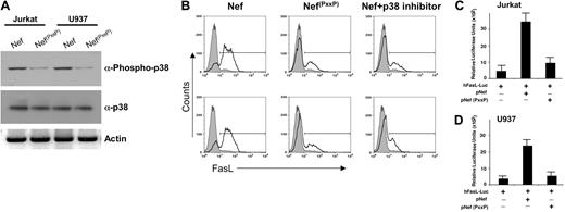 Figure 6. PxxP domain of Nef is required for the FasL induction. (A) Loss of the PxxP domain of Nef significantly diminishes the phosphorylation of p38. Western blot analysis of extracts derived from Jurkat or U937 cells transfected with either the expression vector for wild-type Nef or the amino acid-mutated Nef. Cell extracts were prepared 48 hours after transfection as described in “Materials and methods” and subjected to 12% SDS-PAGE followed by PVDF membrane transfer and analyzed by Western blotting using specific p38 and phospho-p38 antibodies as indicated. Note, the amino acid-mutated Nef (pNef(PxxP)) failed to induce phosphorylation of p38. (B) Comparison of FasL induction by wild-type Nef versus amino acid-mutated Nef. Jurkat T cells or U937 cells were electroporated with 5 μg wild-type Nef, amino acid-mutated Nef, or wild-type Nef plus p38 inhibitor (1 μM). At 48 hours after transfection, the surface levels of FasL were determined by flow cytometry by staining with a FasL-specific antibody. Transfection efficiency was monitored by cotransfection of a pCMV plasmid encoding GFP. Thick line histograms show the indicated surface markers, and filled histograms represent the isotype-matched control antibodies. Similar results were obtained in 3 independent experiments. (C-D) The PxxP domain of Nef (amino-acid mutated) is essential for induction of FasL promoter activity in T cell or monocytic cells. Jurkat T cells or U937 cells were transfected with 5 μg hFasL-Luc promoter plasmid, wild-type Nef plus hFasL-Luc promoter plasmid, or amino acid-mutated Nef plus hFasL-Luc promoter plasmid as indicated. Luciferase activity in whole-cell lysates was assayed after 12 to 18 hours and is shown as the mean value ± SEM. Transfection efficiency was monitored by cotransfection of a plasmid encoding β-gal and results were normalized to β-gal levels. Similar results were obtained in 3 independent experiments.