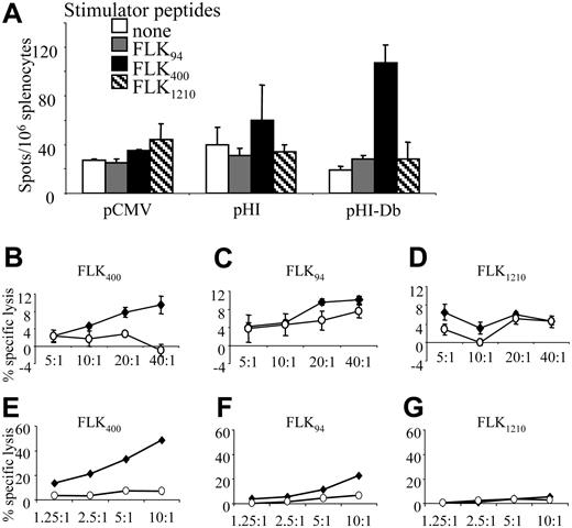 Figure 5. The pHI-Db minigene vaccine induces an H-2Db–restricted, FLK400–specific response. Groups of vaccinated C57BL/6 mice (n = 4) were killed 2 weeks after the last immunization. (A) ELISPOT assays were performed on splenocytes isolated by using either no stimulator or synthetic peptides FLK94 (25 μg/mL), FLK400 (10 μg/mL), or FLK1210 (25 μg/mL) as stimulators. (B-D) Isolated splenocytes were stimulated with FLK400 (B), FLK94 (C), or FLK1210 (D) peptides for 5 days. Thereafter cytotoxicity assays were performed with MS1 (♦) or RM9 (○) serving as target cells. Experiment was repeated twice with 2 μg/mL or 10 μg/mL stimulator peptides and with similar results. (E-G) Splenocytes isolated from pHI-Db–vaccinated mice were stimulated with FLK400 (E), FLK94 (F), or FLK1210 (G) peptides for 7 days, and restimulated twice weekly with irradiated FLK400-loaded (E), FLK94-loaded (F), or FLK1210-loaded (G) splenocytes from normal C57BL/6 mice. Thereafter cytotoxicity assays were performed with MS1 (♦) or RM9 (○) serving as target cells. Error bars indicate SD.