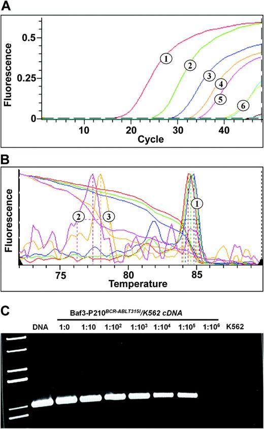 Figure 1. Fluorescent ASO-specific PCR assay. RNA was extracted from a dilution of BaF3 cells expressing the T315I mutant of BCR-ABL in K562 cells, reversely transcribed into cDNA, and subjected to fluorescent ASO-specific PCR with primers optimized for detection of the T315I mutant. Plasmid DNA was included as a positive control. (A) Detection of amplification products by SybrGreen. 1 indicates plasmid DNA (control); 2 to 5, dilutions from 1:0 to 1:103; and 6, dilutions of 1:104 and 1:105 (curves overlap). (B) Melting curve analysis. Only selected melting curves are shown, and the colors do not correspond to panel A. 1 indicates curves corresponding to dilutions of 1:10, 1:103, and 1:105; 2, dilution of 1:106; and 3, K562 cells. (C) The PCR products of the fluorescent assay were run on a 1% agarose gel. Lane 1 indicates molecular weight marker; DNA, diluted plasmid DNA. Note the absence of PCR product in the 1:106 dilution and the K562-only specimen. The quality of cDNA was routinely checked by amplification of ABL as a control gene (not shown).