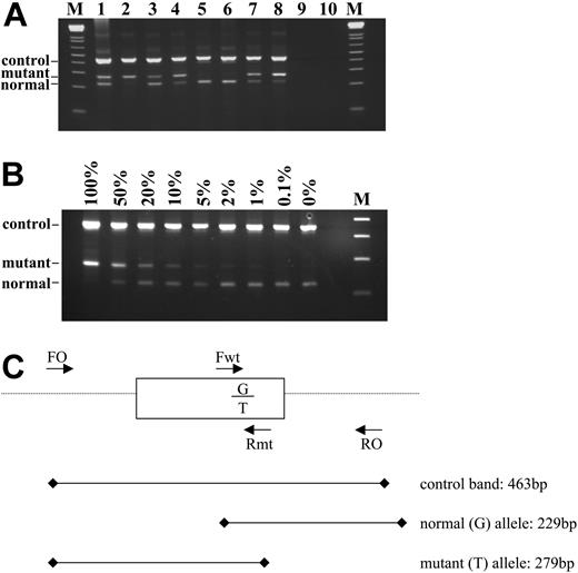 Figure 1. ARMS assay to detect the JAK2 2343G > T in genomic DNA. (A) Representative results. Tracks 5 and 6 show a normal genotype; tracks 1 and 3 show a mutant band that is weaker or similar intensity to the normal band and were therefore scored as heterozygous for the 2343G > T mutation; tracks 2, 4, 7, and 8 show a mutant band that is stronger than the normal band and were therefore scored as homozygous for the mutation. Tracks 9 and 10 are negative controls and M is the 1-kilobase (kb)+ DNA ladder (Invitrogen, Paisley, United Kingdom). (B) Sensitivity of the ARMS assay. DNA from a homozygous patient with minimal residual wild-type allele was diluted with normal DNA and amplified. The ARMS assay is routinely capable of detecting V617F at a dilution of 1% to 2%. (C) Schematic outline of the assay. Primers FO and RO flank JAK2 exon 12 and should generate a control 463-bp band in all cases. Primers Fwt and RO generate a 229-bp wild-type (2343G)-specific product and primers FO and Rmt generate a 279-bp mutant (2343T)-specific product.
