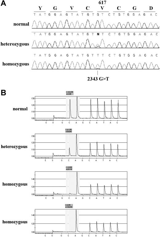 Figure 2. Detection of the JAK2 by sequence analysis, and Pyrosequencing. (A) Sequence traces of 3 individuals found to be wild-type, heterozygous, and homozygous by the ARMS assay. (B) Representative pyrograms for one wild-type, one heterozygous, and 2 homozygous individuals. The sequencing primer is in reverse orientation (immediately abutting the site of the mutation) and the dispensation order GCAGCATAC was used (the 2 Gs are internal controls that should give no peak; E and S indicate enzyme and substrate, respectively). In a wild-type individual (sequence CACATAC) the peak heights of the first C and A are similar. In a heterozygous individual (sequence (C/A)ACATAC) the C peak is reduced in height and the A peak increased above all other peaks as both the mutant A and following A are being read in the same reaction. In a homozygous individual (sequence AACATAC) the first C peak is either much lower than the A peak (third trace) or, occasionally, absent (fourth trace). The ratio of the healthy (C) and mutant (A) alleles is calculated by the Pyrosequencing SNP analysis software. Values are log10 delta-delta CtPRV1/ABL.