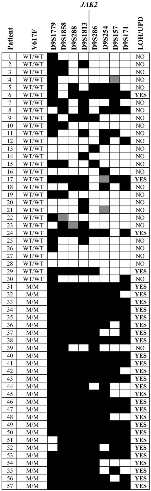 Figure 3. Microsatellite analysis to identify regions of homozygosity. The V617F genotype of the patients is indicated as either homozygous normal (WT/WT; patients 1-30) or homozygous mutant (M/M; patients 31-57). Microsatellite markers on chromosome 9p are shown in order from the most telomeric (D9S1779) to the most centromeric (D9S171) and are scored as homozygous (black), heterozygous (white), or not done (gray). Based on published rates of heterozygosity,23 significant tracts of chromosome 9p homozygosity (LOH/UPD) were scored if 4 consecutive markers above or below JAK2 were homozygous.