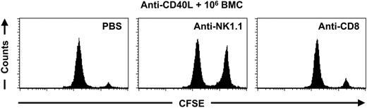 Figure 3. NK cells mediate the elimination of donor cells after anti-CD40L mAb treatment. C57BL/6 mice were treated with anti-CD40L mAb in combination with 106 BALB/c BMCs at day 0. At day 23 and day 27 the mice received an injection with PBS (n = 2), anti-NK1.1 mAb (n = 4), or anti-CD8 mAb (n = 4). At day 28 an in vivo cytotoxicity assay was performed and peripheral-blood samples were collected 2 days later for FACS analysis. The PBS-treated C57BL/6 mice eliminated 94.2% ± 0.2% of the CFSE-labeled BALB/c splenocytes within 2 days, whereas the NK1.1-depleted C57BL/6 mice eliminated 32.1% ± 10.9% of the CFSE-labeled BALB/c splenocytes within 2 days. The C57BL/6 mice depleted for CD8+ cells eliminated 89.6% ± 1.8% of the CFSE-labeled BALB/c splenocytes within 2 days. The displayed histograms are representative of each group.