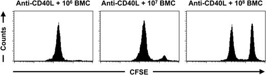 Figure 4. Suppression of alloreactivity by increasing the dose of donor BMCs. C57BL/6 mice were treated with anti-CD40L mAb in combination with 106 (n = 6), 107 (n = 6), or 108 (n = 6) BALB/c BMCs at day 0. At day 28 an in vivo cytotoxicity assay was performed and peripheral-blood samples were collected 3 days later for FACS analysis. The mice treated with anti-CD40L mAb and 106 BALB/c BMCs eliminated 98.1% ± 1.3% of the CFSE-labeled BALB/c cells within 3 days. The mice treated with anti-CD40L mAb and 107 BALB/c BMCs eliminated 92.5% ± 3.8% of the BALB/c cells within 3 days, whereas no significant elimination of CFSE-labeled donor cells was detected (0.0% ± 6.8% within 3 days) in the group treated with anti-CD40L mAb and 108 BALB/c BMCs. The displayed histograms are representative of each group.