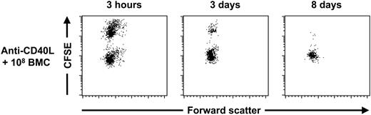 Figure 5. NK-cell tolerance after treatment with anti-CD40L mAb and 108 donor BMCs is donor-specific. C57BL/6 mice were treated with anti-CD40L mAb in combination with 108 BALB/c BMCs (n = 5) at day 0. At day 28 these mice were given injections of differentially CFSE-labeled MHC-mismatched, C3H/J-derived third-party splenocytes and BALB/c splenocytes; peripheral-blood samples were collected 3 hours, 3 days, and 8 days later for FACS analysis. Survival of the highly CFSE+ third-party cells was calculated using the intermediate CFSE+ donor cells as internal control cells. Three hours after the infusion of the CFSE-labeled splenocytes, no detectable elimination of the CFSE-labeled third-party cells was observed. Three days later 88.7% ± 6.5% of the third-party cells were eliminated and 8 days later 98.4% ± 1.4% of the cells were eliminated. These elimination kinetics were similar compared to anti-CD40L mAb-treated C57BL/6 mice (data not shown). The displayed dot plots are representative of each time point.