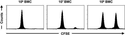 Figure 6. Suppression of NK-cell alloreactivity by increasing the dose of donor BMCs. T and NKT-cell-deficient C57BL/6 nu/nu mice were treated with an infusion of 106 (n = 5), 107 (n = 5), or 108 (n = 5) BALB/c nu/nu BMCs at day 0. At day 28 an in vivo cytotoxicity assay was performed, and peripheral-blood samples were collected 2 days later for FACS analysis. The mice treated with 106 BALB/c nu/nu BMCs eliminated 99.7% ± 0.3% of the CFSE-labeled BALB/c nu/nu cells within 2 days. The mice treated with 107 BALB/c nu/nu BMCs eliminated 96.8% ± 2.9% of the BALB/c nu/nu cells within 2 days, whereas the group given transplants with 108 BALB/c nu/nu BMCs eliminated 64.6% ± 32.8% of the BALB/c nu/nu cells within 2 days. The displayed histograms are representative of each group.