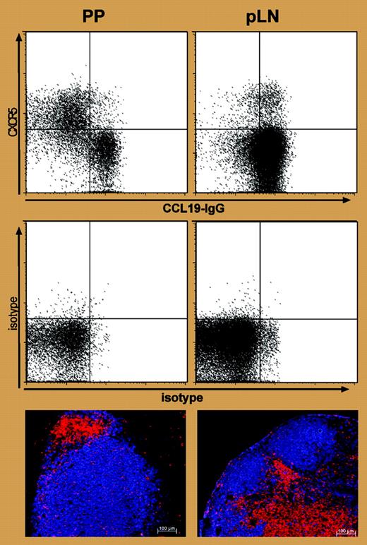 Expression of CXCR5 and CCR7 and positioning of T cells to B-cell follicles in LNs and PPs. See the complete figure in the article beginning on page 1924.