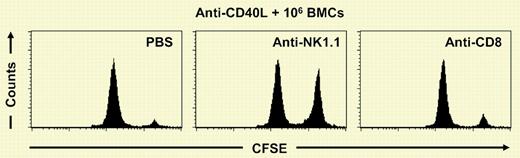 NK cells mediate the elimination of donor cells after anti-CD40L mAb treatment.