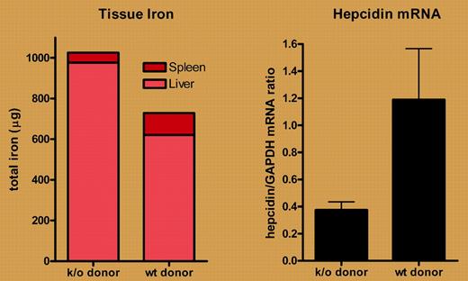 Transplantation of marrow from wild-type (wt) but not HFE knock-out (k/o) mice partially normalizes tissue iron concentrations (left panel) and up-regulates liver hepcidin expression (right panel) in HFE knock-out mice. Data derived from Makui et al (see the article beginning on page 2189).