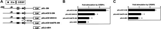 Figure 2. Effect of artificial spacing between the adjacent Ets- and C/EBP-binding sites or mutation in the Ets-binding site on transactivation of the FCAR promoter by C/EBPα and C/EBPβ. (A) A schematic representation for the structure of the wild-type FCAR upstream-luciferase (Luc) construct (pGL-259) and the mutated FCAR upstream-luciferase constructs. The numbers indicate nucleotide positions relative to the translation initiation ATG at +1. The major transcription start site (-197) identified by de Wit et al48 is indicated as bent arrow. The 3 C/EBP-binding sites at -139, -127, and -74 and an Ets-binding site at -92 are indicated. X indicates mutated site. (B-C) Jurkat cells were transfected with 0.7 μg luciferase reporter constructs containing the indicated FCAR promoter mutant in the absence or presence of 0.1 μg expression vector for C/EBPα (hCMV-C/EBPα) (B) or C/EBPβ (pD3NF-IL6) (C), along with 0.03 μg pRL-SV40; each sample was transfected with the additional corresponding empty vector pCMV-Empt (B) or pcDNA3.1(+) (C) to bring the amount of transfected DNA in each sample to 1 μg. Firefly and Renilla luciferase activities were determined 24 hours after transfection. Values are corrected for transfection efficiency and presented as the fold stimulation of each construct by C/EBPα (B) or C/EBPβ (C), compared with the promoter activity seen without the expression vector. Thin bars represent the SE from 3 to 4 transfections. *Significant decrease (P < .01) compared with pGLmCE12-259 by 2-tailed t test.