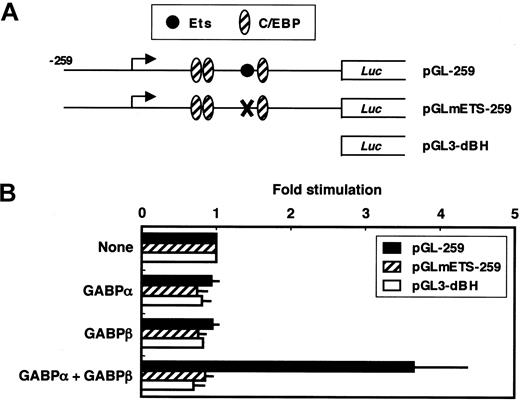 Figure 5. The FCAR promoter is activated by GABP. (A) A schematic representation for the structure of the wild-type and mutant FCAR upstream-luciferase (Luc) constructs. X indicates Ets site mutation. (B) HeLa cells were transfected with 0.7 μg luciferase reporter constructs containing the indicated FCAR promoter in the absence or presence of 0.1 μg each of expression vector(s) for GABPα and/or GABPβ, along with 5 ng pRL-CMV; each sample was transfected with the additional corresponding empty vector pCR3.1E to bring the amount of transfected DNA in each sample to 1 μg. Firefly and Renilla luciferase activities were determined 24 hours after transfection. Values are corrected for transfection efficiency and presented as the fold stimulation of each construct by GABPα and/or GABPβ, compared with the promoter activity seen without the expression vector(s). Thin bars represent the SE from 3 transfections.