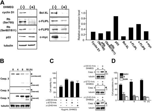 Figure 3. Expression of genes involved in cell-cycle progression and antiapoptosis after DHMEQ treatment. (A) Immunoblot analysis of DHMEQ-treated MT-1 cells (left panels). Cells were treated with 10 μg/mL DHMEQ for 16 hours. Total cell lysates were subjected to analysis. Antibodies used for detection are presented on the left. Levels of tubulin expression are used to confirm equal amounts of total cell lysates in each lane. (Right panel) Results of densitometric analysis of detected bands. Results are expressed as relative levels compared with those of untreated samples. Tubulin bands were used to normalize densitometric measurement. (B) Activation of caspases. Cleavage of caspase-3, -8, and -9 was examined by immunoblot analysis. Samples were prepared at the indicated time points after DHMEQ treatment. Arrows indicate the position of cleaved or uncleaved fragments. (C) Inhibition of apoptosis pathways. Effects of caspase inhibitors on DHMEQ-induced apoptosis were studied using specific inhibitors for caspase-3 (Z-DEVD-FMK) and caspase-8 (Z-IETD-FMK) as well as caspase-9 inhibitor (z-LEHD-FMK). Inhibitors were added to the culture media 1 hour prior to addition of DHMEQ. (Left panel) Cell viabilities after DHMEQ treatment in the presence of specific caspase inhibitors. (Right panel) Immunoblot analysis of caspase cleavage. Protein expression levels of cleaved or uncleaved caspases are shown. UC indicates uncleaved; C, cleaved. (D) Effects of DHMEQ on cell-cycle progression. MT-1 cells were treated with DHMEQ (10 μg/mL) for indicated periods followed by PI staining and subjected to cell-cycle analysis by flow cytometry.