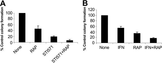 Figure 7. Effects of pharmacologic inhibition of the mTOR/p70 S6 kinase pathway in the generation of the inhibitory effects of imatinib mesylate and IFNα on primary leukemic progenitors. Peripheral blood or bone marrow mononuclear cells isolated from different patients with CML were plated in a methylcellulose culture assay system with imatinib mesylate (1 μM; A) or IFNα (1000 IU/mL; B), in the presence or absence of rapamycin, as indicated. Leukemic CFU-GM progenitor colonies were scored on day 14 of culture. (A) Comparison of the effects of imatinib mesylate alone versus imatinib mesylate plus rapamycin. Means plus SE of the values from the experiments using different patient samples (cases 1, 2, 3, and 5 from Table 1) are shown. (B) Comparison of the effects of IFNα alone versus IFNα plus rapamycin. Means plus SE of the values from the experiments using different patient samples (cases 2, 3, 4, and 6 from Table 1) are shown.