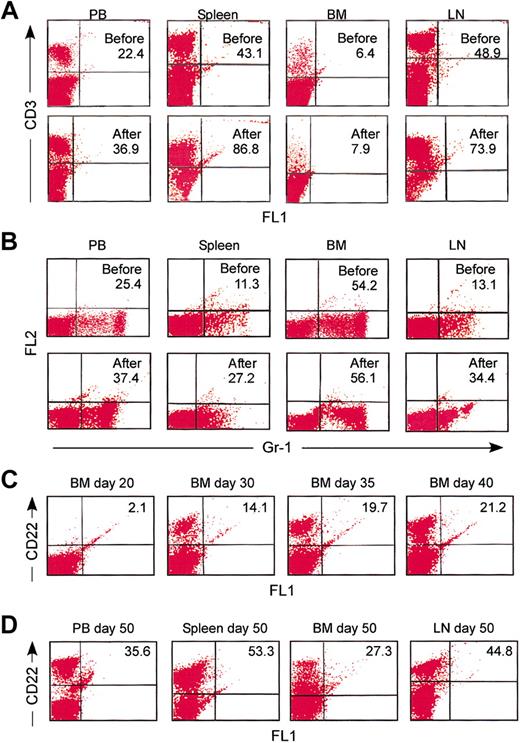 Figure 3. Characteristics of B-cell depletion and kinetics of B-cell recovery. Flow cytometric analysis of PB, spleen, BM, and LN before and 12 days after 2 injections with CD22/cal demonstrating that CD22/cal is not cytotoxic for (A) CD3+ T cells and (B) Gr-1+ myeloid cells. (C) Flow cytometric analysis showing the kinetics of CD22+ B-cell recovery in BM samples. (D) Flow cytometric analysis demonstrating that there is complete recovery of CD22+ B cells in PB, spleen, BM, and LNs 50 days after the first injection with CD22/cal. Three mice per group were analyzed; representative data from one mouse are shown.