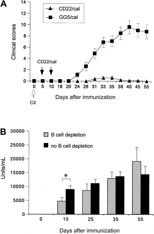 Figure 4. The effect of B-cell depletion with CD22/cal on the clinical scores and antibody responses in CIA. (A) Clinical arthritis scores of B6 IFN-γ-KO mice injected with CD22/cal or GG5/cal. Mice were immunized on day 0 with collagen II in CFA and given intraperitoneal injections on days 5 and 10 with CD22/cal or GG5/cal. The paws were evaluated for clinical signs of arthritis and each paw was individually scored using a 4-point scale. The results represent the mean values ± SEM for 10 mice in each experimental group. CIA was almost completely inhibited in the CD22/cal group and severe CIA was observed in the GG5/cal group (P < .001). (B) Serum IgG2b antibody levels during the course of CIA against type II collagen were measured by standard ELISA as described in “Materials and methods.” The anti-type II collagen concentrations were determined by reference to standard curves generated from 1:2 serial dilutions of a standard CIA serum to calculate the antibody content (in arbitrary units/mL). The values shown are the mean ± SEM for 10 mice in the B-cell depletion group and 15 mice in the no B-cell depletion group (10 mice injected with GG5/cal and 5 mice that had received no injections). The asterisk indicates a significant difference (P < .05) between the mean of the groups on day 15.
