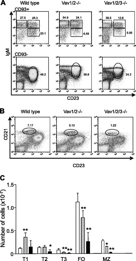 Figure 1. Peripheral B-cell maturation in Vav-deficient mice. Flow cytometric analysis of splenocytes gated for lymphocytes by forward and side scatter. (A) Cells from the indicated genotype were stained for CD93, CD23, and IgM. CD93+ cells were further analyzed by the expression of IgM and CD23. Gates indicate T1 (IgMhigh/CD23low), T2 (IgMhigh/CD23high), and T3 (IgMlow/CD23high) B cells. Numbers indicate the percentage of cells falling into each gate. CD93- cells were further subdivided into FO mature (CD23high, IgM+). Percentages of cells falling in the mature gate are shown. (B) Cells from the indicated genotypes were stained with anti-CD21 and anti-CD23 antibodies. Percentages refer to cells in the MZ B-cell gate (CD21high/CD23low). (C) Absolute numbers of T1, T2, T3, mature FO, and MZ (defined as CD21high, CD23low) cells. Results are presented as mean ± SD, respectively, from wild-type (10 mice; □), Vav-1/Vav-2 (10 mice; ▧), and Vav-deficient mice (4 mice; ▪). Significant differences between wild-type and Vav-1/Vav-2 mutant mice or wild-type and Vav-deficient mice are indicated. *P < .02; **P < .0001. Statistical analysis was performed using the Student t test.