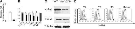 Figure 3. NF-κB activity is affected in the absence of Vav proteins. (A) c-Rel abundance in nuclear extracts from wild-type (□) or Vav-deficient (▪) B cells. Results are expressed relative to the levels found in wild-type cells and correspond to the mean ± SD of B cells from 3 independent mice. (B) mRNA levels of NF-κB subunits from sorted wild-type (□) and Vav-deficient (▪) mature B cells were compared by real-time PCR. CXCR5 expression was included as control because it is expressed at similar levels in wild-type and Vav-deficient cells (Figure 4B). (C) Purified splenic B cells from wild-type or Vav-deficient cells were blotted with antibodies against c-Rel, Rel-A, or tubulin (loading control). (D) Spleen cells were stained with antibodies against c-Rel, CD93, IgM, and CD23, and subsets are defined as indicated in Figure 1A-B. In the histogram overlays, the solid line represents Vav-deficient cells, the broken line represents wild-type cells, and the shaded histograms correspond to the isotype control. Data are representative of 5 mice from each group.