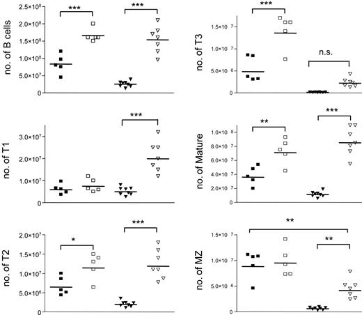 Figure 6. Increased numbers of B cells in Bcl-2 transgenic Vav-deficient mice. Scatter plots show the absolute numbers of B, T1, T2, T3, mature FO, and MZ B cells based on the data presented in Figure 5. Mice genotypes are represented as follows: wild-type (▪, 5 mice), Bcl-2 transgenic wild-type (□, 5 mice), Vav-deficient (▾, 7 mice), and Bcl-2 transgenic Vav-deficient (▿, 8 mice). Cell numbers were calculated using the regions illustrated in Figure 5. Horizontal bars indicate the mean for each group of observations. Statistical analysis was performed using ANOVA. The hypothesis of normal distribution was confirmed for all the samples using the Kolmogorov-Smirnov test. *P < .05; **P < .01; ***P < .001. n.s. indicates not significant.