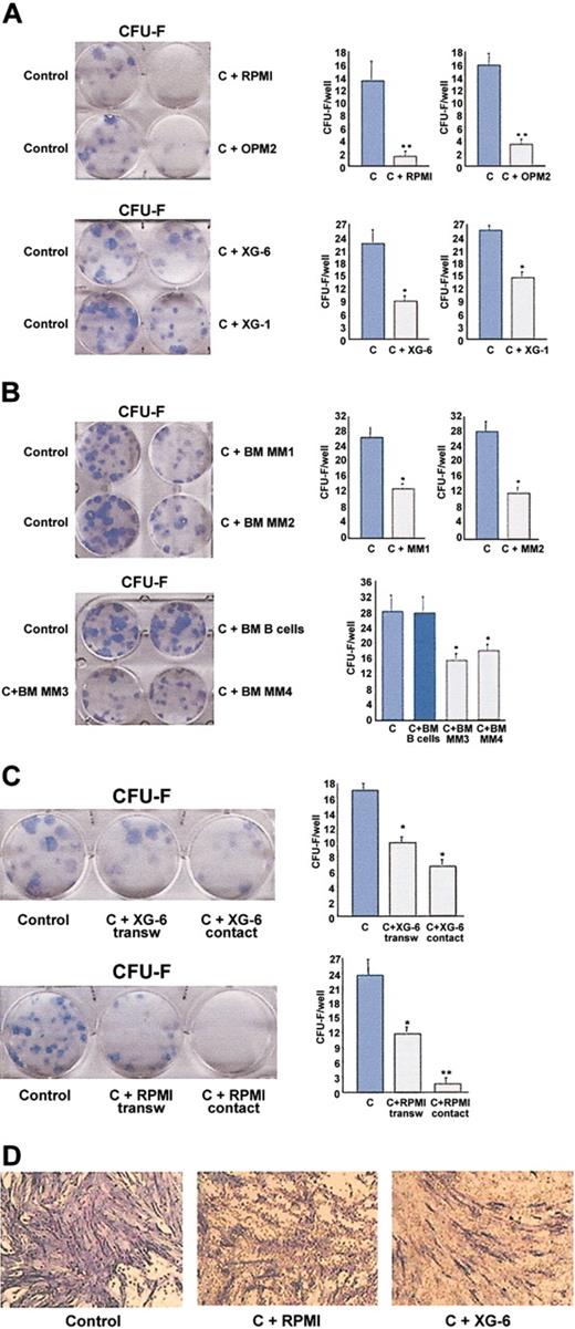 Figure 1. Effect of human myeloma cells on CFU-F formation in human BM cultures. Human BM mononuclear cells were cocultured in the appropriate medium with (A) human myeloma cell lines (HMCLs; RPMI-8226, OPM2, XG-6, XG-1, U266, and JJN3) and (B) BM MM cells obtained from 4 different patients with MM (MM1, MM2, MM3, MM4), or with BM B lymphocytes from healthy donors. (C) In some experiments, HMCLs were incubated in the presence or absence of a transwell insert. CFU-F formation was evaluated after 14 days as described in “Patients, materials, and methods” and quantified. Graphs represent the mean number of CFU-Fs/well ± SD of 6 independent experiments performed in triplicate. (D) Alkaline phosphatase staining was performed in BM cocultures at higher magnification (images were obtained on a Nikon Eclipse TE 300 microscope at 10×/18 using a DS-U1 digital sight and a 4×/0.12 objective lens. (Nikon Instruments). (original magnification, × 5). C indicates control; *P < .01; **P < .001.