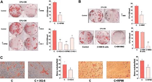 Figure 2. Effect of human myeloma cells on bone nodules formation in BM cultures. Human BM cells were cocultured in the appropriate medium with (A) HMCLs (RPMI-8226, XG-1, XG-6, OPM2) and (B) freshly purified MM cells of 2 different patients (MM1 and MM2), or with normal BM B lymphocytes. Colony-forming bone nodules (CFU-OBs) were stained with alizarin red after 21 days and counted at the light microscopy as described in “Patients, materials, and methods.” Graphs represent the mean number of CFU-Fs/well ± SD of 6 independent experiments performed in triplicate. (C) CFU-OBs stained with alizarin red (original magnification, × 5) of representative fields. Graphs show the mean ± SD of bone nodules/field. C indicates control; *P < .05; **P < .01. Images were obtained as described for Figure 1.