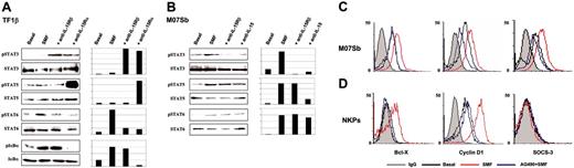 Figure 5. Western blot analysis of transcription factor phosphorylation in TF1β (IL-15Rαβγc) and M07Sb (IL-15Rβγc) cells after short-term contact with SMFs. Leukemic TF1β (A) and M07Sb (B) progenitors were untreated (basal) or incubated with SMFs for 30 minutes. Parallel cultures were preincubated with neutralizing anti-IL-15Rα, IL-15Rβ, or anti-IL-15 mAbs for 1 hour and then with SMFs for 1 hour. Leukemic progenitors were then detached from myofibroblasts by gentle shaking and centrifuged with 10 mL of growth medium. Cell extracts were analyzed by Western blotting using anti-IκBα (pIκBα), anti-phospho-STAT3 (pSTAT3), anti-phospho-STAT5 (pSTAT5), and anti-phospho-STAT6 (pSTAT6) Abs (top blots). Each membrane was reprobed with antibodies recognizing the native proteins or β-actin (bottom blots). β actin was used as a loading control. These data are representative of 3 different experiments. Flow cytometry analysis of intracellular Bcl-X, cyclin D1, and SOCS3 expression in permeabilized 5-day-old CD34+ CB progenitors (C) and MO7Sb cells (D). Cytokine-deprived cells were incubated for 4 hours with the JAK2/STAT5 inhibitor AG490, and then control and treated cells were cocultured for 24 to 48 hours with SMFs. These data are representative of 3 different experiments. In C and D, gray line indicates IgG; black line, Basal; red line, SMF; blue line, AG490+SMF.