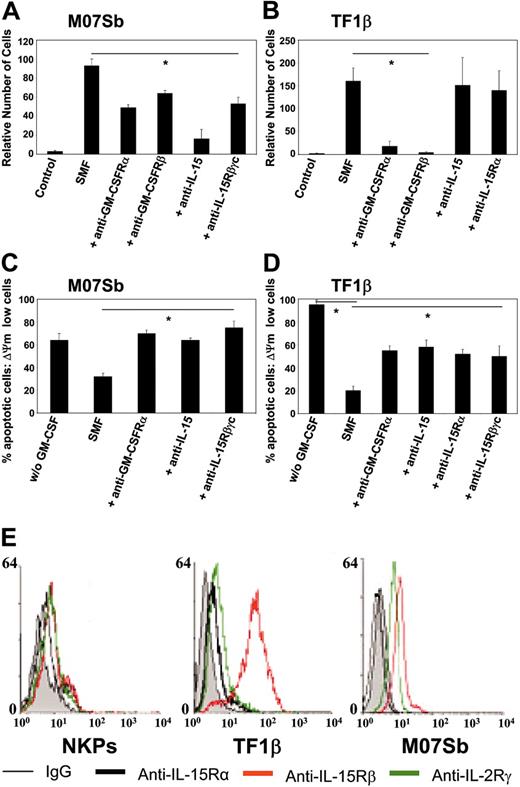 Figure 6. Proliferation and protection from apoptosis in M07Sb and TF1β cells following incubation with SMFs. M07Sb (A) and TF1β (B) cells that had been starved of GM-CSF for 24 hours were cocultured for 96 hours with SMFs and subjected to proliferation analysis. Parallel cultures were continuously incubated with neutralizing mAbs recognizing the GM-CSFRα, GM-CSFRβ, IL-15Rβ, IL-15Rα chains, and IL-15. Cells were counted in an electronic Coulter counter and the data are expressed as percentages of difference in proliferative potential with respect to control-untreated samples. The data presented are representative of 3 independent experiments. Treatment with the different neutralizing mAbs significantly reduced SMF-induced proliferation in M07Sb cells (*P < .05 compared with the SMF group). In contrast, in TF1β cells, only treatment with anti-GM-CSFRα and β neutralizing mAbs decrease their proliferation (*P < .05 compared with the SMF group). M07Sb (C) and TF1β (D) cells that had been starved of GM-CSF starved for 24 hours were cocultured for 24 hours with SMFs and analyzed for protection from apoptosis. Parallel cultures were continuously incubated with neutralizing mAbs recognizing the GM-CSFRα, IL-15Rβ, IL-15Rα chains, and IL-15. The percentage of apoptotic cells was determined by flow cytometry using the fluorescent DIOC63 probe to detect cells with a dissipated transmembrane mitochondrial potential (ΔΨm). The data presented are representative of 3 independent experiments. In both cell lines, treatment with the different neutralizing mAbs significantly reduced SMF-antiapoptotic effects (*P < .05 compared with the SMF group). (E) Flow cytometry analysis of IL-15R α, β, and γc subunit surface expressions in NKPs and TF1β and MO7Sb cells. These data are representative of 3 different experiments. Values are means ± SD (n = 3).