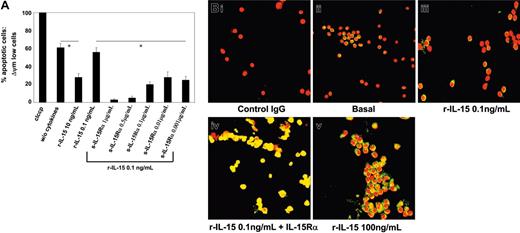 Figure 7. Protection of M07Sb cells from apoptosis and STAT6 activation in PB progenitors committed to the pro-NK lineage by r-IL-15/s-IL-15Rα complex. (A) Protection of M07Sb cells from apoptosis by r-IL-15/s-IL-15Rα complex. M07Sb cells that had been starved of GM-CSF for 24 hours were treated for 24 hours with r-IL-15 (10 and 0.1 ng/mL) and with 0.1 ng/mL r-IL-15 bound to decreasing concentrations of the soluble IL-15Rα chain (1000-1 ng/mL). The percentage of apoptotic cells was determined by flow cytometry as described in the legend to Figure 6. As a control of apoptosis, cells were also treated with a membrane uncoupler, carbonyl cyanide m-chlorophenylhydrazone (ClCCP; Sigma Chemical), at a final concentration of 50 μM, for 15 minutes at 37°C under 5% CO2. The data presented are representative of 3 independent experiments. R-IL-15 at 10 ng/mL but not at 0.1 ng/mL induced significant protection from apoptosis (*P < .05 compared with the group without cytokine). Association of decreasing concentrations of soluble IL-15Rα with 0.1 ng/mL r-IL-15 induced powerful antiapoptotic effects (*P < .05 compared with the group treated with 0.1 ng/mL r-IL-15). Values are means ± SD (n = 3). Horizontal bars identify the sample on which statistic significance has been observed. (B) STAT6 activation analysis by confocal microscopy of PB progenitors committed to the pro-NK lineage using r-SCF/r-Flt3-L medium. Overlay pictures (original magnification, ×63). (Bi) Negative control. (Bii) basal conditions. (Biii) 30 minutes of incubation at 37°C with 0.1 ng/mL human r-IL-15. (Biv) 30 minutes of incubation at 37°C with 0.1 ng/mL human r-IL-15 bound to 1 μg/mL of the soluble IL-15Rα chain. (Bv) 30 minutes of incubation at 37°C with 100 ng/mL human r-IL-15. As negative controls, cells were incubated with rabbit IgG, the second reagent, and propidium iodide. The data presented are representative of 3 independent experiments. Images were acquired with a 63 ×/1.30 objective lens.