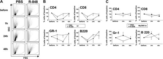 Figure 2. R-848 induces transiently reduced availability of PBLs (TRAP) in an MyD88-dependent fashion. Mice were bled from the tail vein immediately before injection of PBS or R-848. Between 24 hours and 48 hours after injection the same mice were bled again. Blood samples were cleared of erythrocytes by osmotic shock and the samples analyzed by flow cytometry for the presence of mononuclear cells (A). The same samples were also analyzed for the presence of CD4+, CD8+, GR-1+, or B220+ cells. Shown are time courses of the amount of these cell types in the blood relative to the amount present before injection of PBS or R-848 in wild-type (wt) (B) or MyD88 knock-out (ko) animals (C). Each point in panels B and C represents data of at least 3 individually measured animals (compare Table 1). Error bars indicate standard deviation.